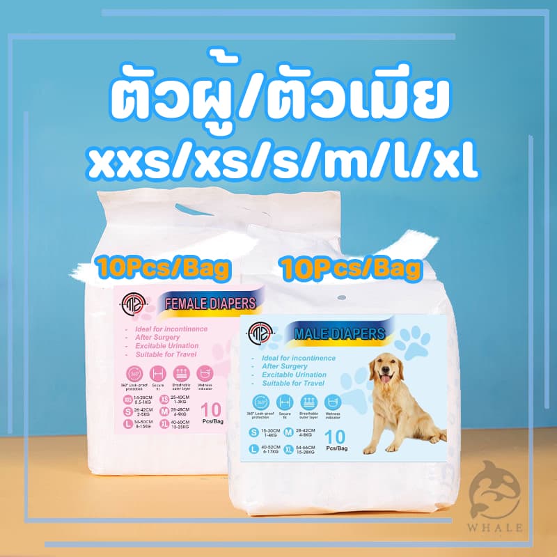 แพมเพิสหมาโอบิสุนัขตัวผู้ผ้าอ้อมสุนัขผ้าอ้อมสุนัขชายและหญิง แก้ปัญหาขี้สุนัขและประจำเดือน