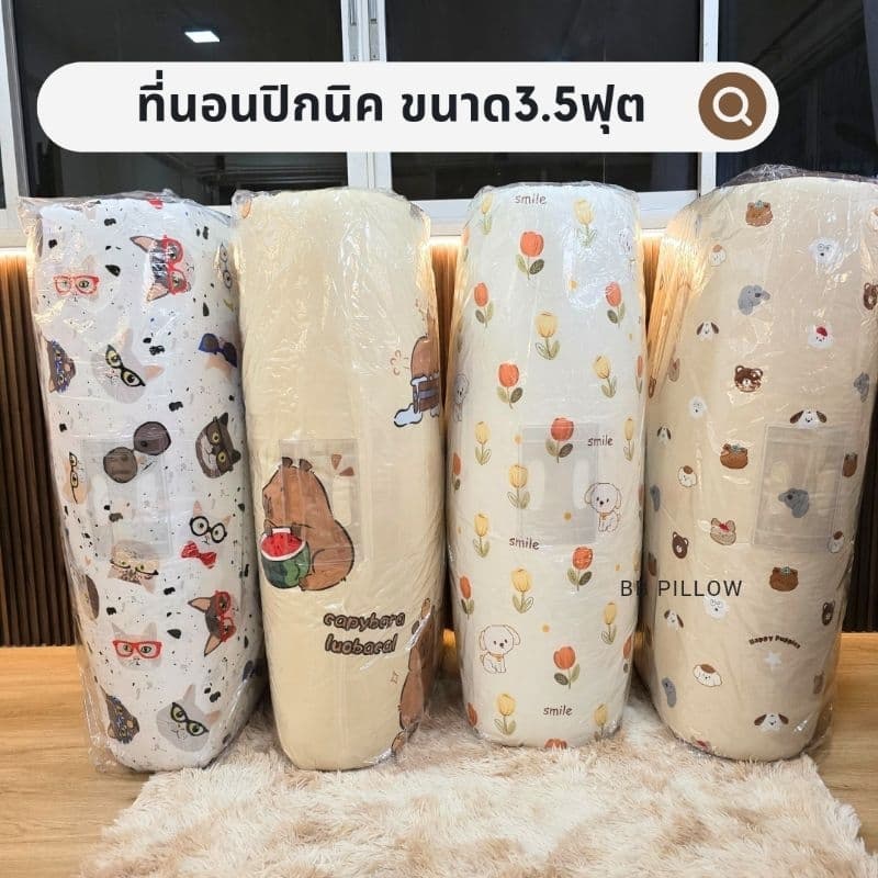 ที่นอนปิกนิค ลายการ์ตูนน่ารักๆ ขนาด3.5ฟุต/หนา9cm/แถมฟรีหมอน1ใบ ให้ทุกลาย