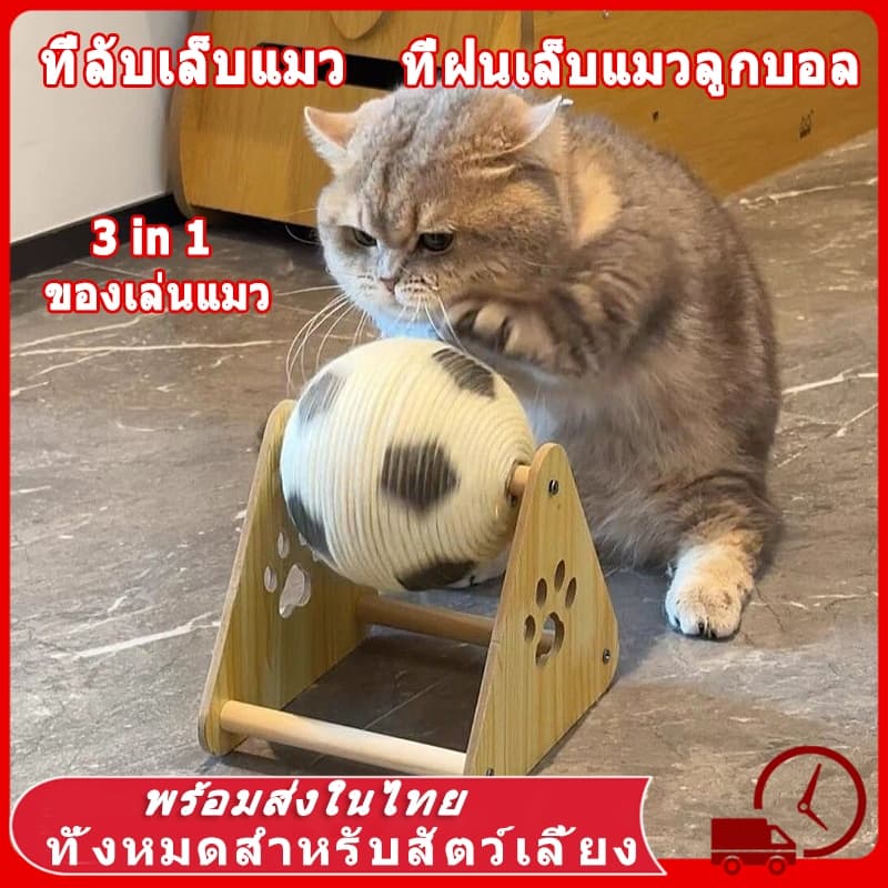 🐾ที่ลับเล็บแมว ฝนเล็บแมว คอนโดแมวราคาถูก คอนโดแมว ที่ฝนเล็บแมว ลับเล็บแมว คอนโดแมวเล็ก ของเล่นแมว แผ่นลับเล็บแมว แมวเล็บ
