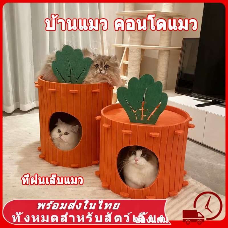 🥕 คอนโดแมว ใหญ่ บ้านแมว 2-3 ชั้น ทรงกระบอก ดีไซน์ญี่ปุ่น สไตล์มินิมอล ตึกแมว มีรู ปีนเล่นได้ วัสดุสักหลาด ที่ฝนเล็บแมว
